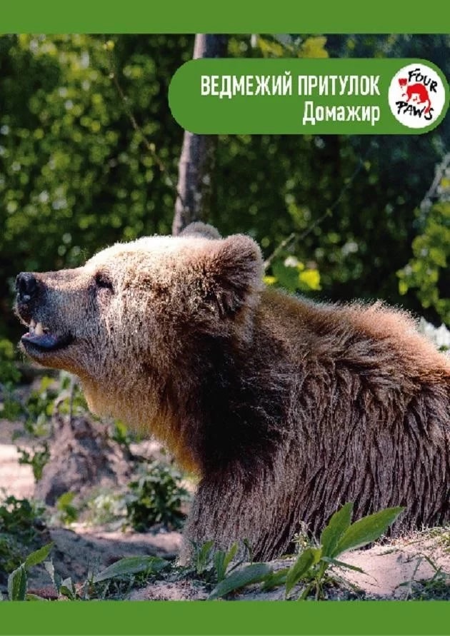 Ведмежий притулок Домажир